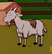 Goat, Domestic (The Simpsons)