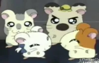 Hamtaro Main4