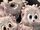 Hedgies