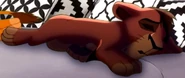 Kovu Is Sleep