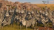 Madagascar: Escape 2 Africa (2008)