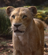 Nala (2019)