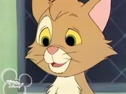 Spunky the Cat.jpg