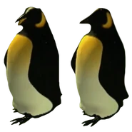 Penguins,