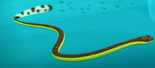 Yellow Belly Sea Snake