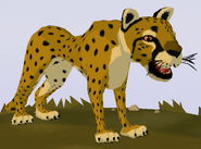 Cheetah WOZ