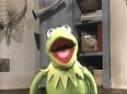 Kermit the Frog in Billy Bunny's Animal Songs