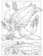 Nationalgeographic coloringbook leatherback