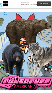 PPAMRICNANMLS1998 Poster.png