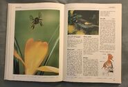The Kingfisher Illustrated Encyclopedia of Animals (73)