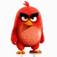 Red angry birds movie