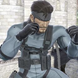 Solid Snake - SSBU