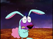 The Bunny Courage.jpg (259 KB)