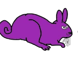 Buckteeth/Bucky the Purple Viscacha