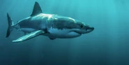 Great White Shark as Mosasaurus