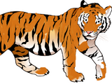 Victor the Tiger
