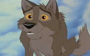 Balto as Peter Pan