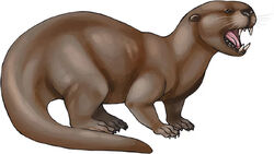 Enhydriodon-dikikae.jpg