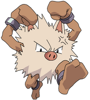 Primeape rosemaryhillspokemonadventures