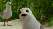 Kyle the Seagull as Jerald