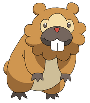 Bidoof rosemaryhillspokemonadventures