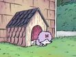 Cleo (Clifford The Big Red Dog) was sleeping in her doghouse