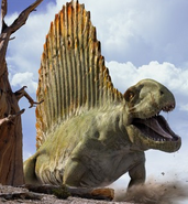 Dimetrodon grandis as Komodo Dragon