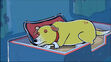 Martha Lorraine was sleeping the doggie bed