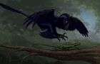 Microraptor