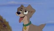 Scamp as Gurio Umino