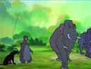 Jungle-cubs-volume02-baloo-bagheera-and-hathi02.jpg (79 KB)