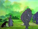 Jungle-cubs-volume02-baloo-bagheera-and-hathi02