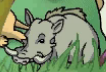 Common Warthog