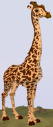 Masai Giraffe WOZ