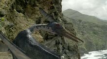 Pteranodon (WWD).jpg