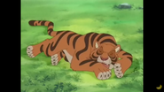 Screenshot Tiger.png (956 KB)