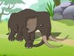 Rileys Adventures Pygmy Elephant