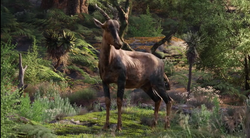 List Of Species In The Lion King 19 The Parody Wiki Fandom List Of Species In The Lion King 19 The Parody Wiki Fandom