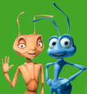 Z and Flik