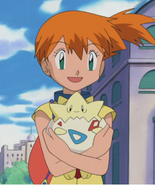 Misty as Adult Nala