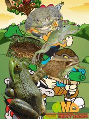 FND Poster.png