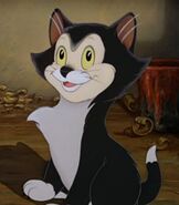 Figaro as Milo's Cat