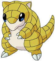 Sandshrew rosemaryhillspokemonadventures