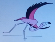 Batw-animal encyclopedia-flamingo