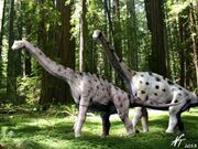 Europasaurus.jpg