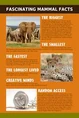 Fascinating Facts about Mammals.jpg (11 KB)