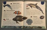 Ocean Life Dictionary (4)