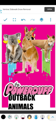 PPOA2016 Poster.png