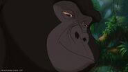 Tarzan-disneyscreencaps.com-105