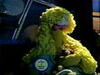 Big Bird falls asleep at the end of episode 1255
